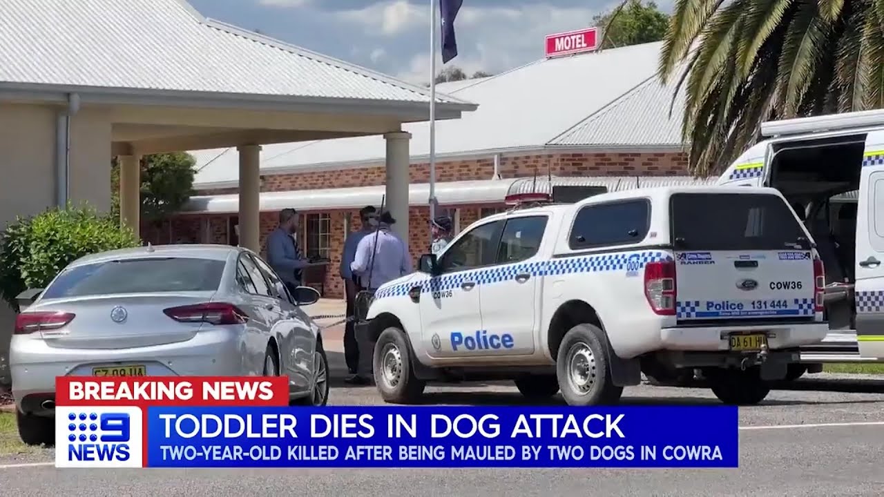Child mauled to death by dogs in Cowra (Reports) YouTube