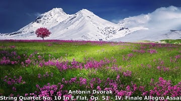 Dvorak String Quartet No 10 In E Flat Op 51 IV Finale Allegro Assai (High Quality)