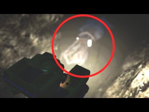 evolve stage 2 ไทย  New 2022  GTA 5 Kraken Monster Easter Egg Location! (GTA 5 Giant Octopus Easter Egg)