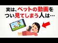9割の人が知らない心理の雑学【ペットの動画をつい見てしまう人は…】動物の動画を見て癒されるのはなぜ？心理学で解説！