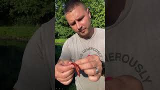 Wacky rigging Roboworm