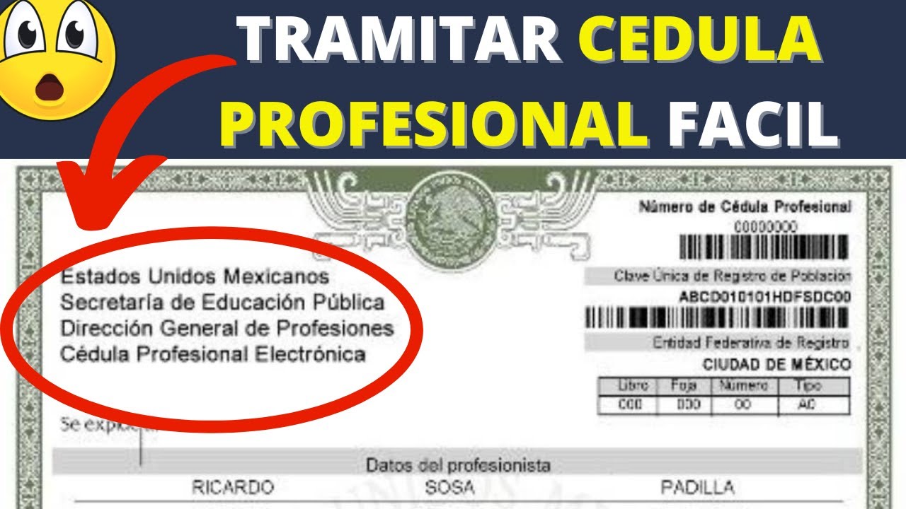 COMO TRAMITAR MI CEDULA PROFESIONAL EN INTERNET - YouTube