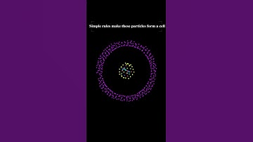 Particle Life in Desmos - Cell Formation