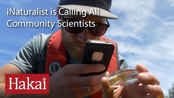 iNaturalist is Calling All Community Scientists
