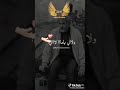 دمعة جراية