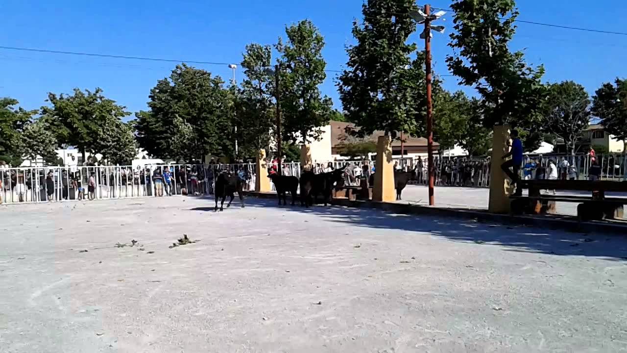 L'enciro de perols (boulodrome)