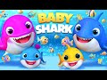 New Baby Shark | baby Shark doo doo 🦈 , Wheels on the Bus , Bingo Song - Coco Cartoon Nursery Rhymes