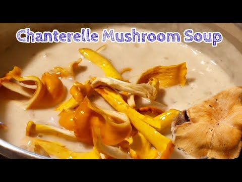 Video: How To Make Soup With Chanterelles And Cheese