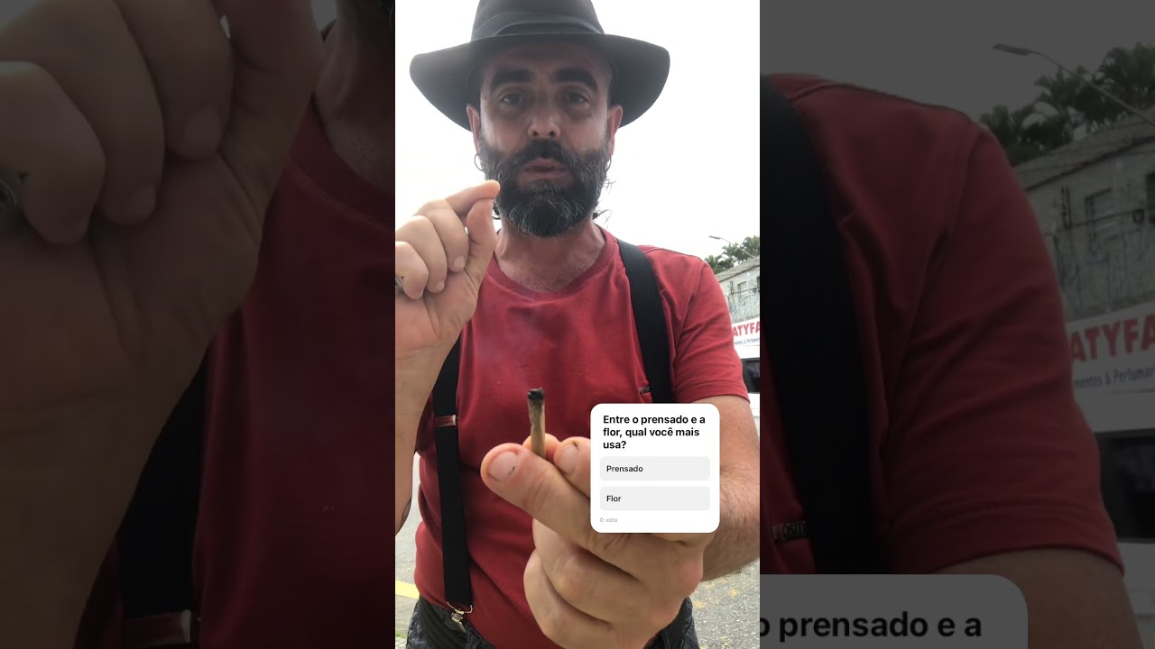 Fumar flor ou prensado? 12/10/2025