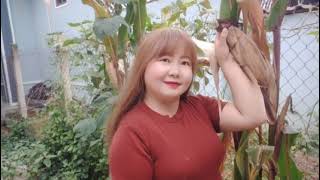 Vauv Aim Yuam Kev Niam Tais Lub Loj Los Loj Tuaj Plau Ntau Tiag2