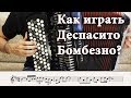 Как играть: DESPACITO на БАЯНЕ (Разбор песни) | HOW TO PLAY: Luis Fonsi - Despacito