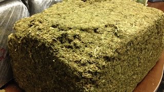 How do I fight charges of "marijuana trafficking" in Nevada?