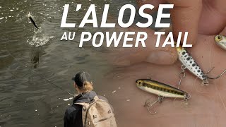 Fiiish - Pêche de l'alose au Power Tail