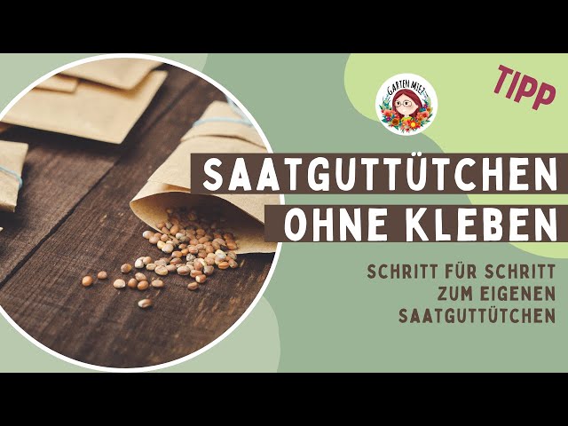 Saatgutttchen falten  ganz ohne Kleben!  DIY-Anleitung zum Mitbasteln -  YouTube