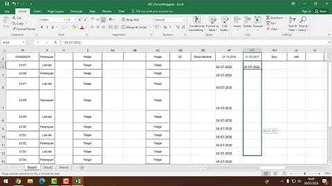 inlislite export import anggota
