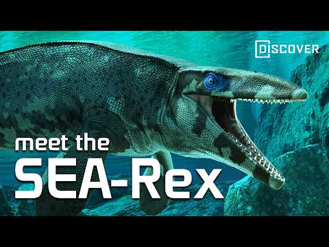 This Texas T. rex Ruled the Cretaceous Seas With an Iron Jaw