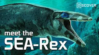 This Texas T. rex Ruled the Cretaceous Seas With an Iron Jaw