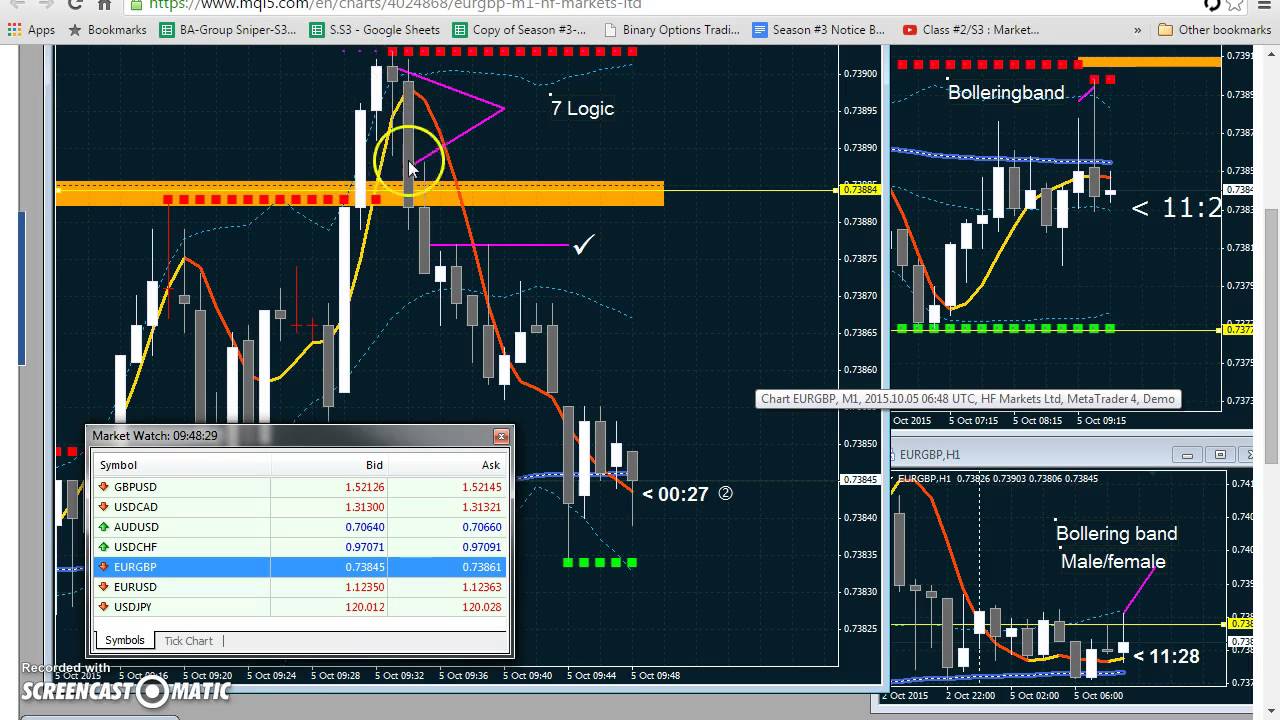 alpha binary option