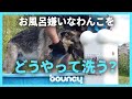 お風呂嫌いなわんこもびっくり！ どこでもシャンプーができる「Furr Dogz」