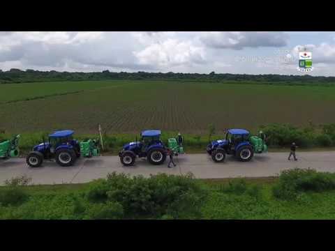 აზიური ფაროსანას საწინააღმდეგოდ სიმინდის საყანე ფართობების პერიმეტრების დამუშავება დაიწყო