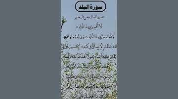 SURAH AL BALAD سورة البلد Beautiful 😍 Voice #egzonibrahimi #quran #surahalbalad #albalad
