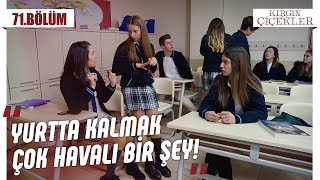 Havası sönmeyen Defne! - Kırgın Çiçekler 71.Bölüm