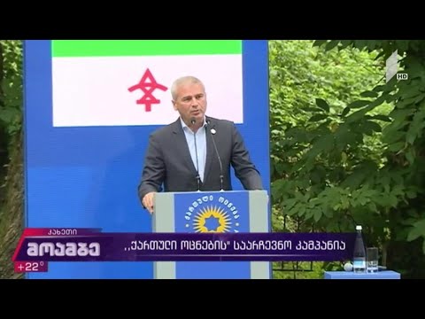 „ქართული ოცნების“ საარჩევნო კამპანია
