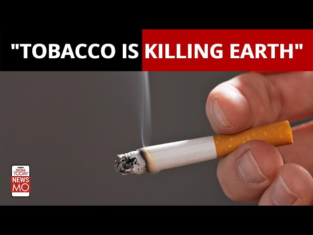 who owns jss tobacco ltd Message: Special feature: interview with the Chairperson and CEO | Integrated Report 2025