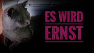 Wurfkiste, Zimmer Vorbereitung, Katze trächtig