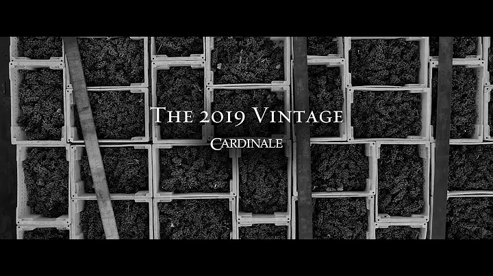 2019 Cardinale Napa Valley Cabernet Sauvignon