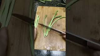 Hm 125867055651mini rotary tillage and ridging all-in one tree short view #travel#beach#flowers