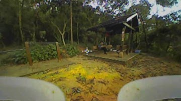 Bring tiny whoop to country path - Fly with BetaFPV 65s