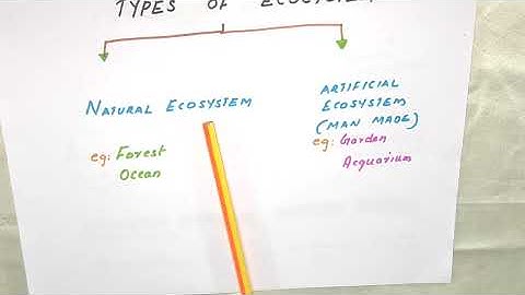 OUR ENVIRONMENT CLASS 10 CBSE BIOLOGY PART 1 (MALAYALAM)