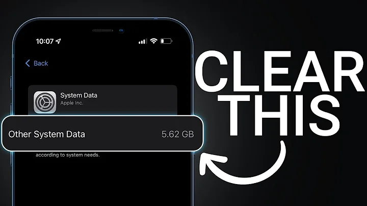 How To Properly Clear Other System Data on iPhone - DayDayNews