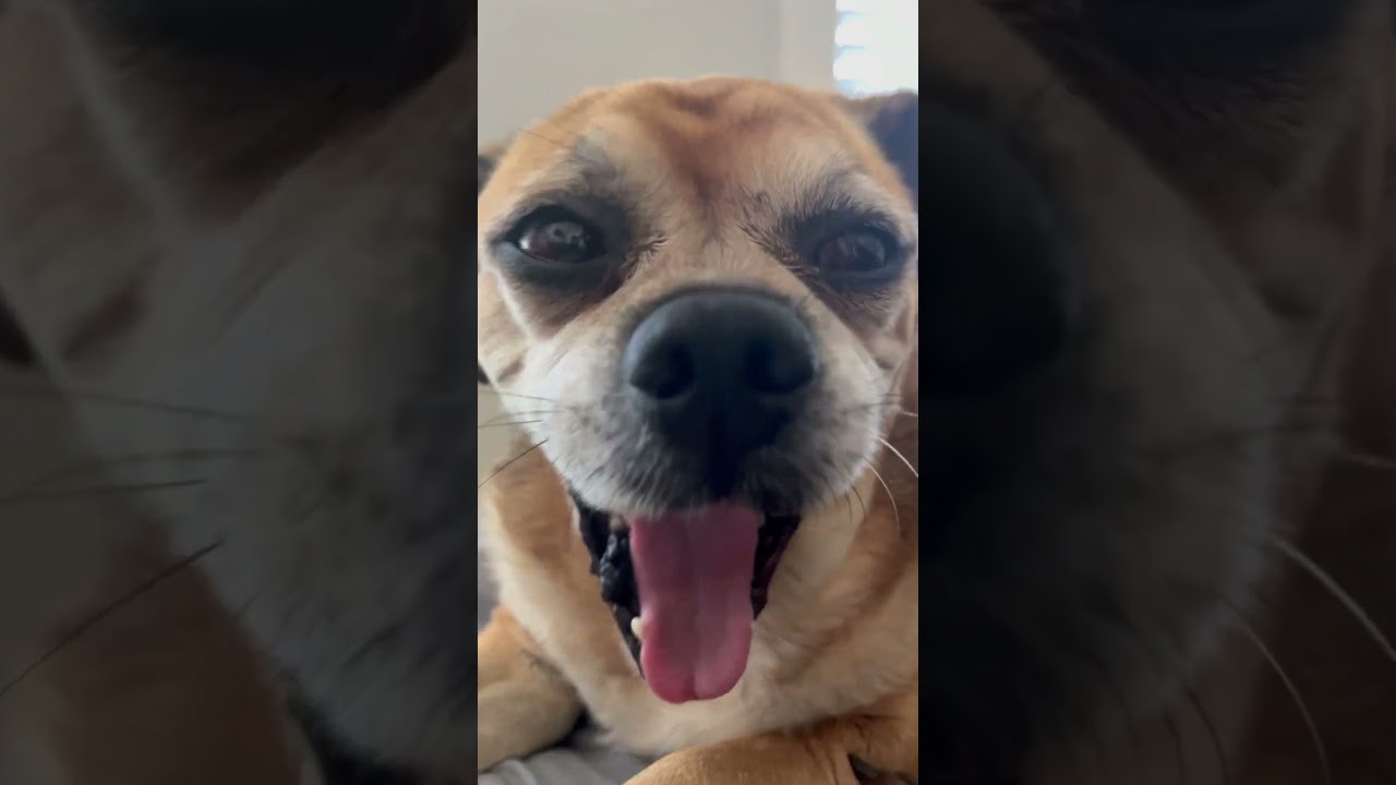 ahhhhhhhhhhhhhhhhhhhhhhhhhhhhh 