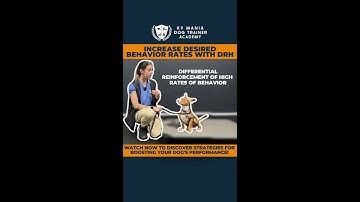 Differential Reinforcement of High Rates of Behavior #dogtrainerlife #dogtrainer #doglife #dog #pets