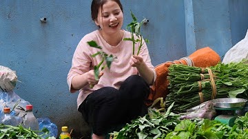 khám phá chợ phiên trùng khánh cao bằng bán nhiều loại hàng đặc sắc và thú vị | Vùng Núi Tây Bắc