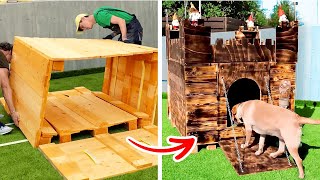 PALLET HOME FOR YOUR LOVELY DOG || Abandoned puppies have a home now!