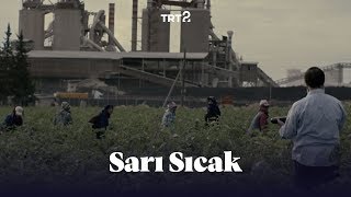 Sarı Sıcak Fragman