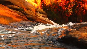 Cactus Smart Sink system for Controlled Substances and Pharmaceutical Waste.