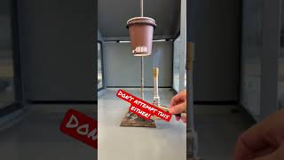 Making Paper Cup Lab Noodles