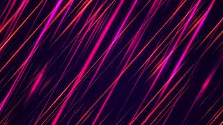 Pink, Purple And Red Lines Motion Background Loop 4K Free To Use