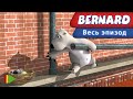 Бернард - 70 - Билет | Мультфильмы |
