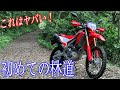 これはハマる!CRF250Lで行く初めての林道で大興奮【CRF250L / モトブログ】