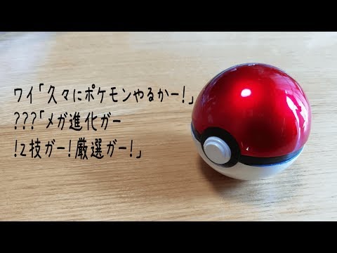 ワイ「久々にポケモンやるかー！」？？？「メガ進化ガー！Z技ガー！厳選ガー！」