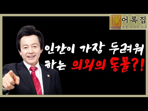 <strong>일요대담</strong> 255회 [인간이 가장 무서워 하는 동물] - 허경영 -