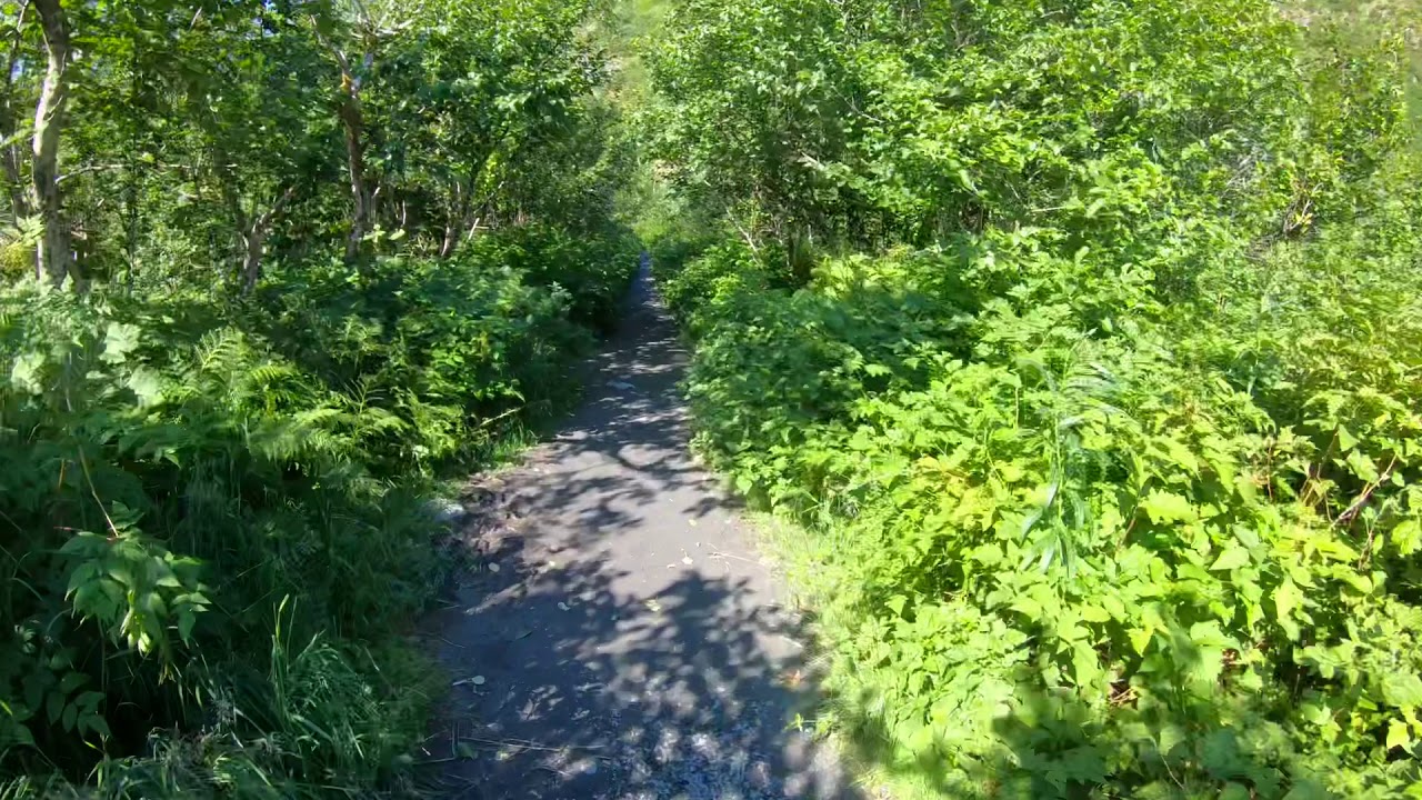 Hiking Alaska YouTube