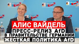 Германия Алис Вайдель Пресс релиз AfD программа в правительстве  Alice Weidel Жесткая политика