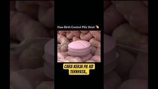 Begini Cara Kerja Hormon Kehamilan #shorts #science