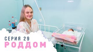 Роддом. Эпизод 29.